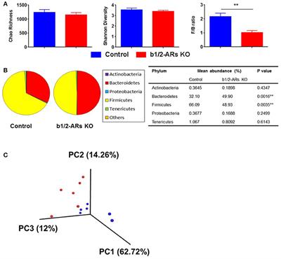 Shifts in the Gut Microbiota Composition Due to Depleted Bone Marrow Beta Adrenergic Signaling Are Associated with Suppressed Inflammatory Transcriptional Networks in the Mouse Colon